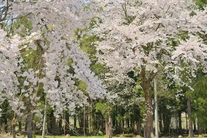 妙高寺(新潟県)