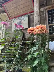 大宮温泉神社(栃木県)(2022年11月04日(金) 08時05分02秒投稿)