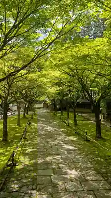 呑山観音寺(福岡県)