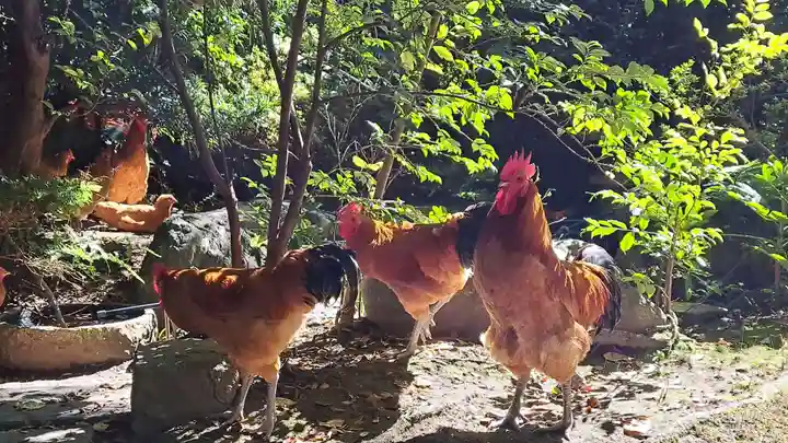 長楽寺(愛知県)