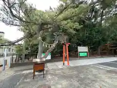 玉村八幡宮の庭園