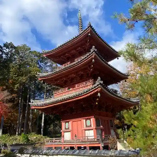井山 宝福寺(岡山県)