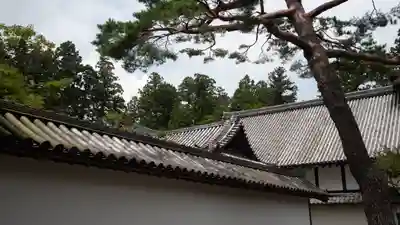 瑞巌寺(宮城県)