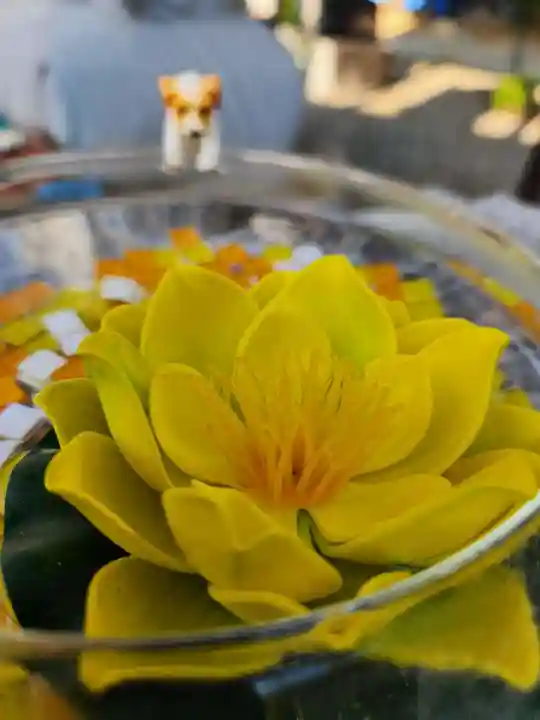 たつの市 常照寺(兵庫県)