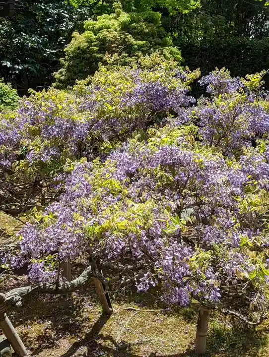 長慶院(京都府)
