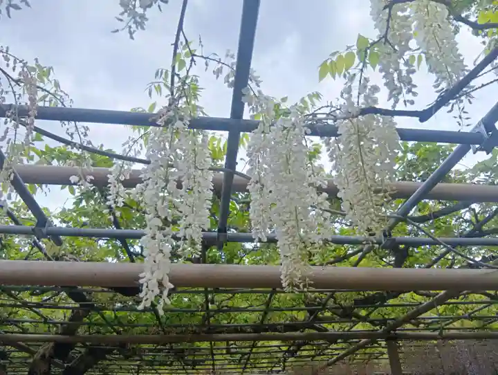 曼陀羅寺(愛知県)