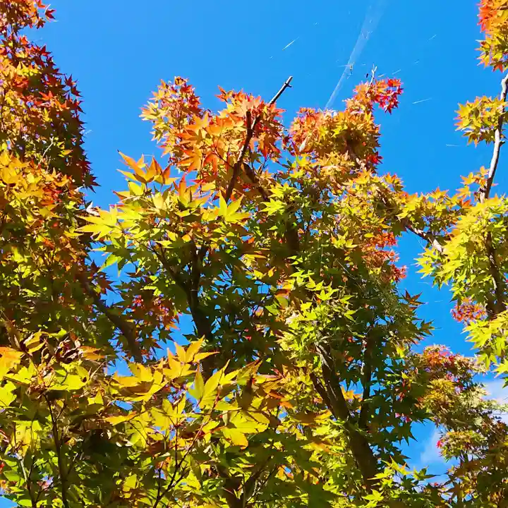 寿量山 速成寺の自然