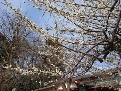 皇武神社の自然