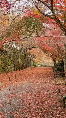 三千院門跡(京都府)