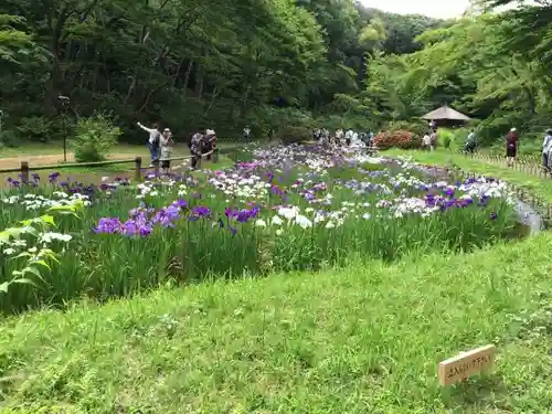 明治神宮の自然