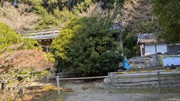 醍醐寺(京都府)