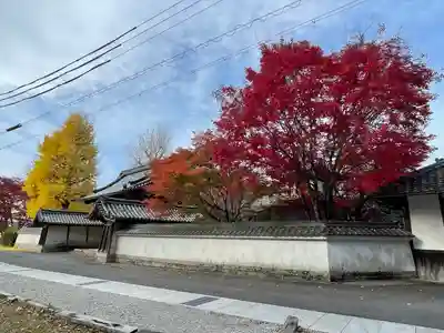 本誓寺(東本誓寺)(滋賀県)