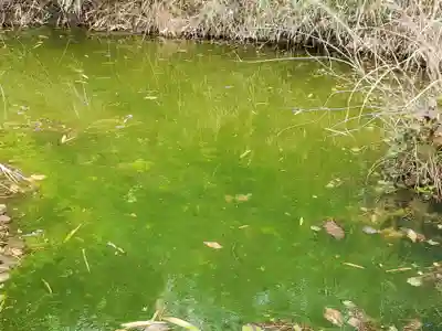 清綱稲荷大明神の周辺