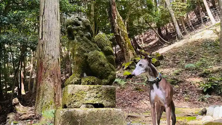 椎村神社(福井県)