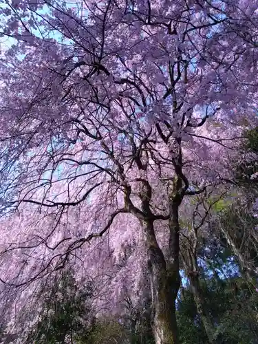 熊野神社(福井県)