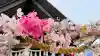 七重浜海津見神社の{uncategorized: "未分類", other: "その他", undefined: "問題あり", building: "その他建物", grave: "お墓", sacred_gate: "鳥居", guardian: "狛犬", statue: "像", buddha: "仏像", history: "歴史", nature: "自然", garden: "庭園", animal: "動物", pagoda: "塔", temizu: "手水舎", mountain_gate: "山門・神門", sanctuary: "本殿・本堂", subordinate: "末社・摂社", art: "芸術", scenery: "景色", jizo: "地蔵", ema: "絵馬", goshuin: "御朱印", omikuji: "おみくじ", items: "授与品その他", amulet: "お守り", goshuincho: "御朱印帳", eats: "食事", festival: "お祭り", votive_dance: "神楽", shichigosan: "七五三参", wedding: "結婚式", experience: "体験その他", initially: "初詣", around: "周辺", anti_infection: "感染症対策"}