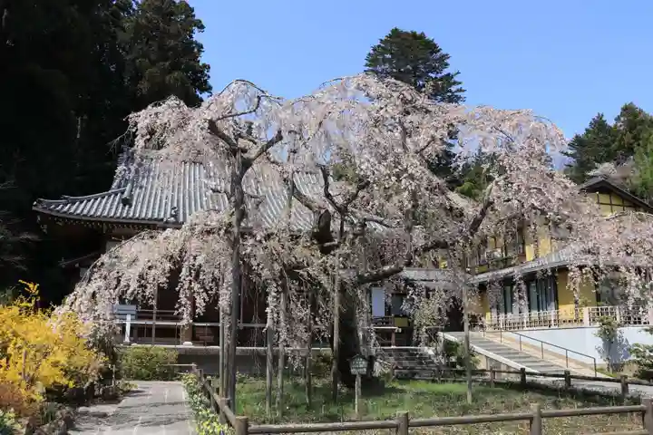 太山寺(栃木県)