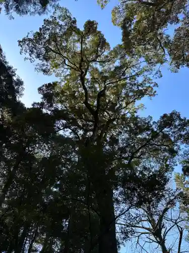 石上神宮(奈良県)