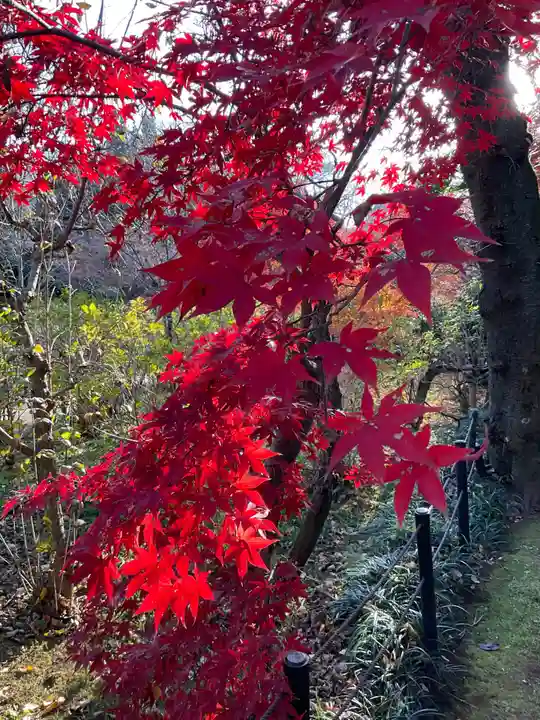 本土寺(千葉県)