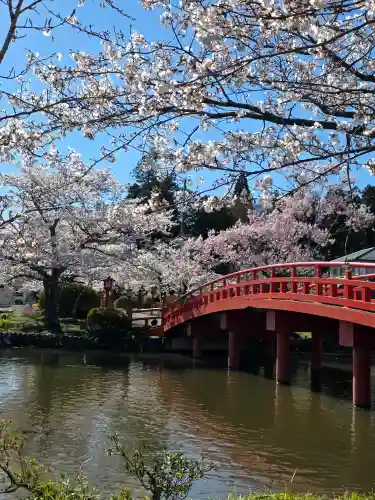 涼ケ岡八幡神社の{uncategorized: "未分類", other: "その他", undefined: "問題あり", building: "その他建物", grave: "お墓", sacred_gate: "鳥居", guardian: "狛犬", statue: "像", buddha: "仏像", history: "歴史", nature: "自然", garden: "庭園", animal: "動物", pagoda: "塔", temizu: "手水舎", mountain_gate: "山門・神門", sanctuary: "本殿・本堂", subordinate: "末社・摂社", art: "芸術", scenery: "景色", jizo: "地蔵", ema: "絵馬", goshuin: "御朱印", omikuji: "おみくじ", items: "授与品その他", amulet: "お守り", goshuincho: "御朱印帳", eats: "食事", festival: "お祭り", votive_dance: "神楽", shichigosan: "七五三参", wedding: "結婚式", experience: "体験その他", initially: "初詣", around: "周辺", anti_infection: "感染症対策"}
