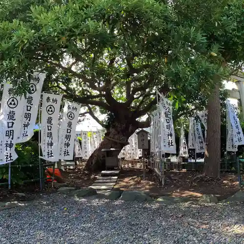 龍口明神社の自然