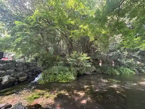 富士山本宮浅間大社(静岡県)