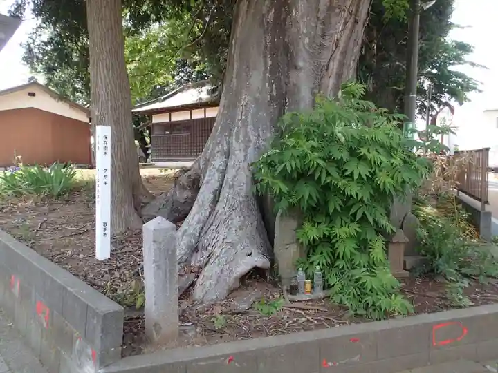 神明神社の自然
