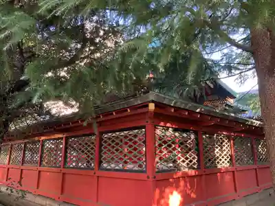 浅草神社の本殿・本堂