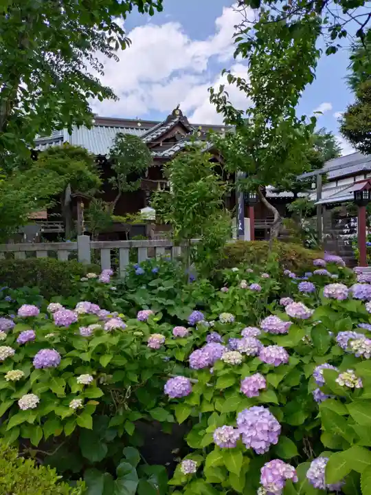 白山神社(東京都)