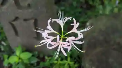 常泉寺(神奈川県)