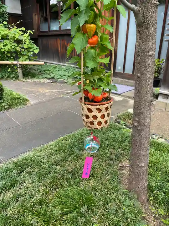 天王寺(東京都)