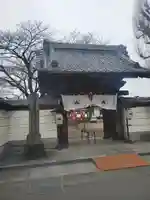 壬生寺の山門・神門