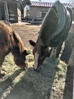 小室浅間神社(山梨県)