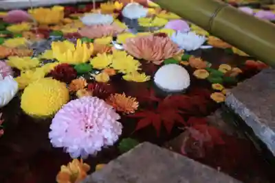 石清水八幡宮の手水舎