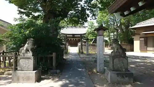 豊田神社の狛犬