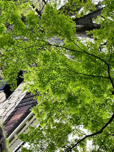 眞田神社の自然