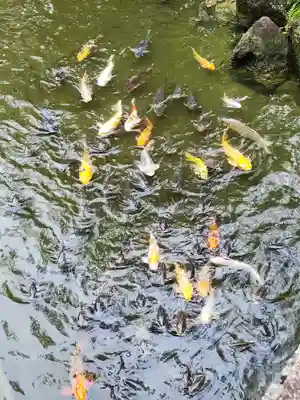 西宮神社(兵庫県)