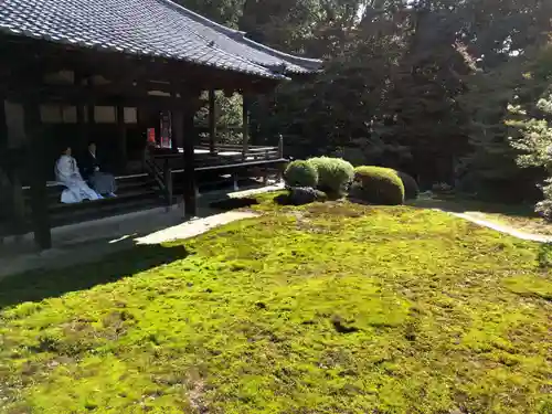 隨心院（随心院）の庭園