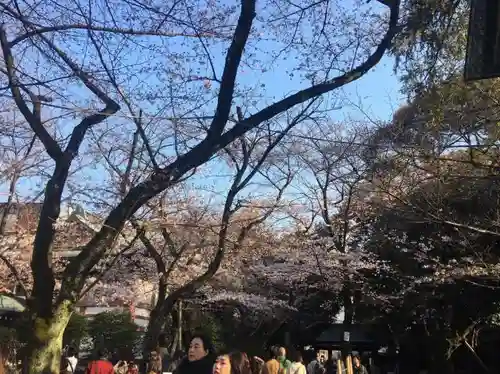 靖國神社の自然