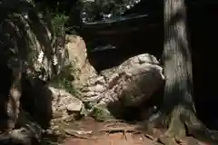 鹿島大神宮の自然