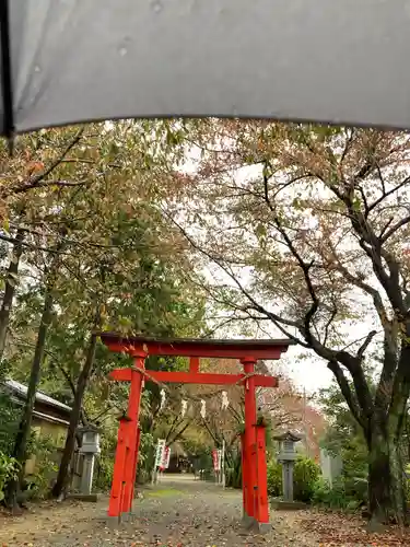 三島八幡神社の鳥居