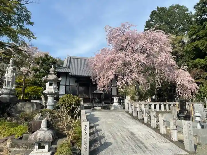 観音寺(群馬県)