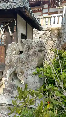 鶴崎神社の狛犬