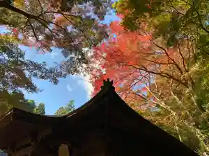 普門寺(切り絵御朱印発祥の寺)(愛知県)(2021年11月24日(水) 07時12分40秒投稿)