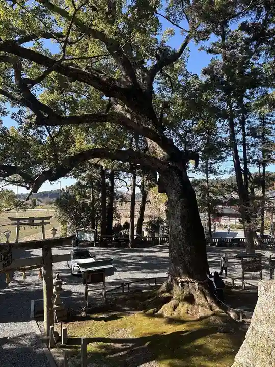 事任八幡宮(静岡県)