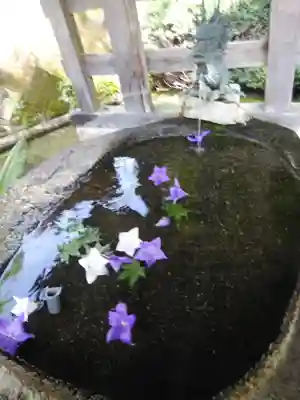 鹿島大神宮の手水舎