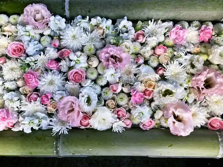立志神社の手水舎