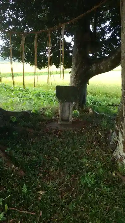 裏つくば、恋瀬川沿いの神社(茨城県)