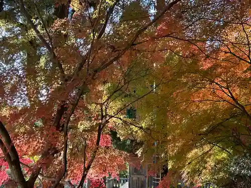 国宝 大法寺(長野県)