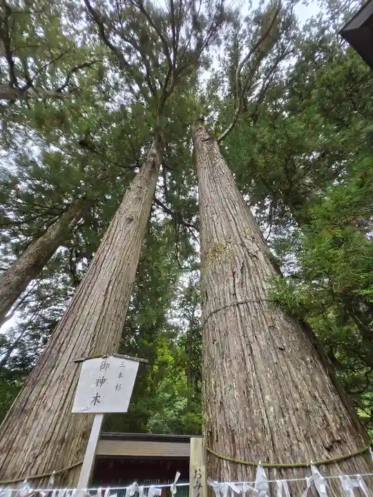 日光二荒山神社(栃木県)